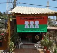 frozen budda la manzanilla (1).jpg