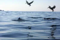 La Manzanilla tours (6).jpg