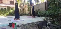 La Manzanilla bending tree yoga