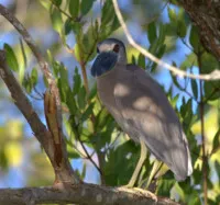 La Manzanilla tours (4).jpg