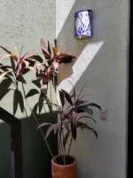 La Manzanilla vacation rental Jalucito (11).jpg