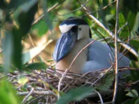 La Manzanilla tours (9).JPG